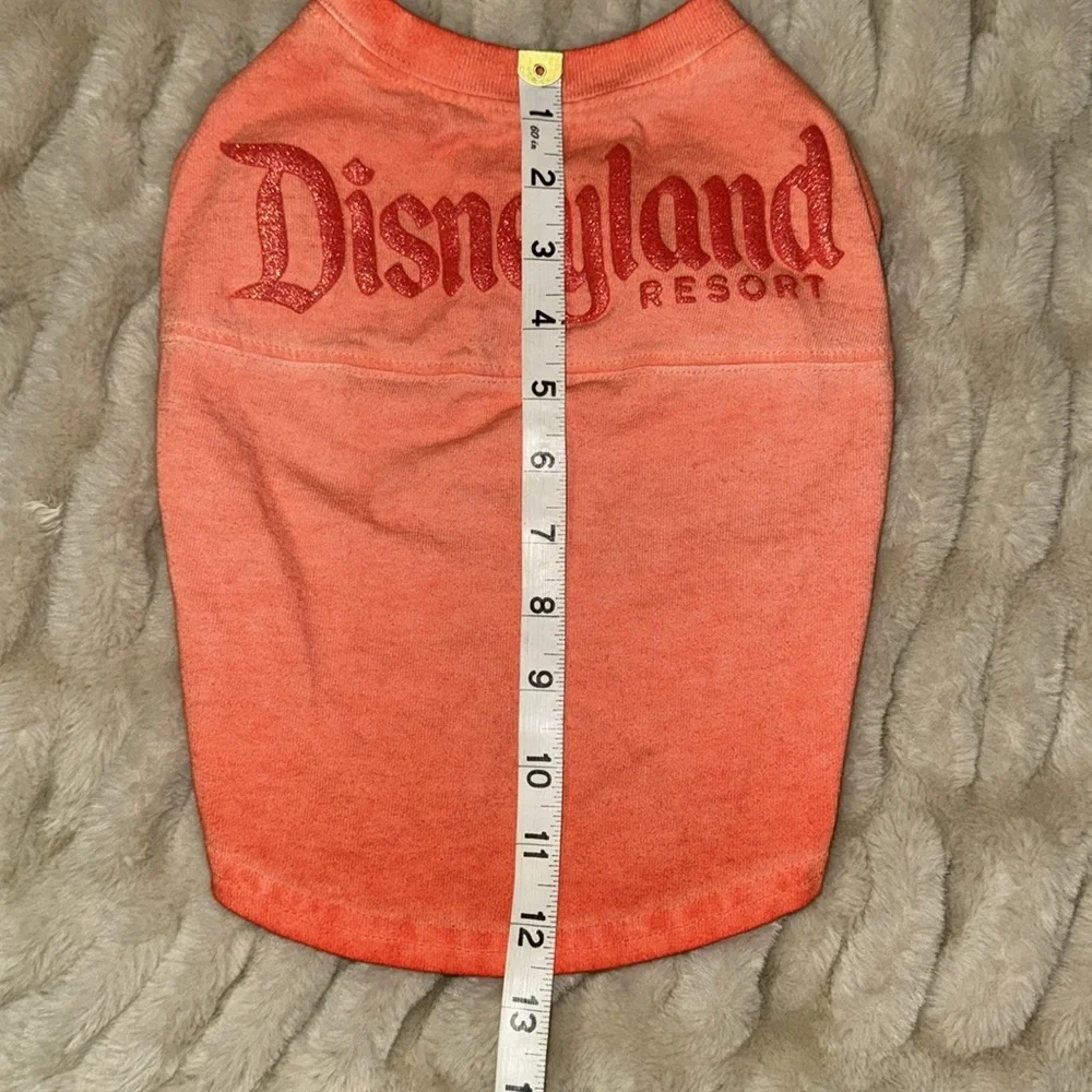 Disneyland Orange ombré Pet T-Shirt (small)